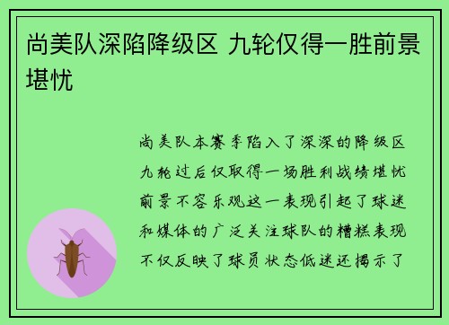 尚美队深陷降级区 九轮仅得一胜前景堪忧